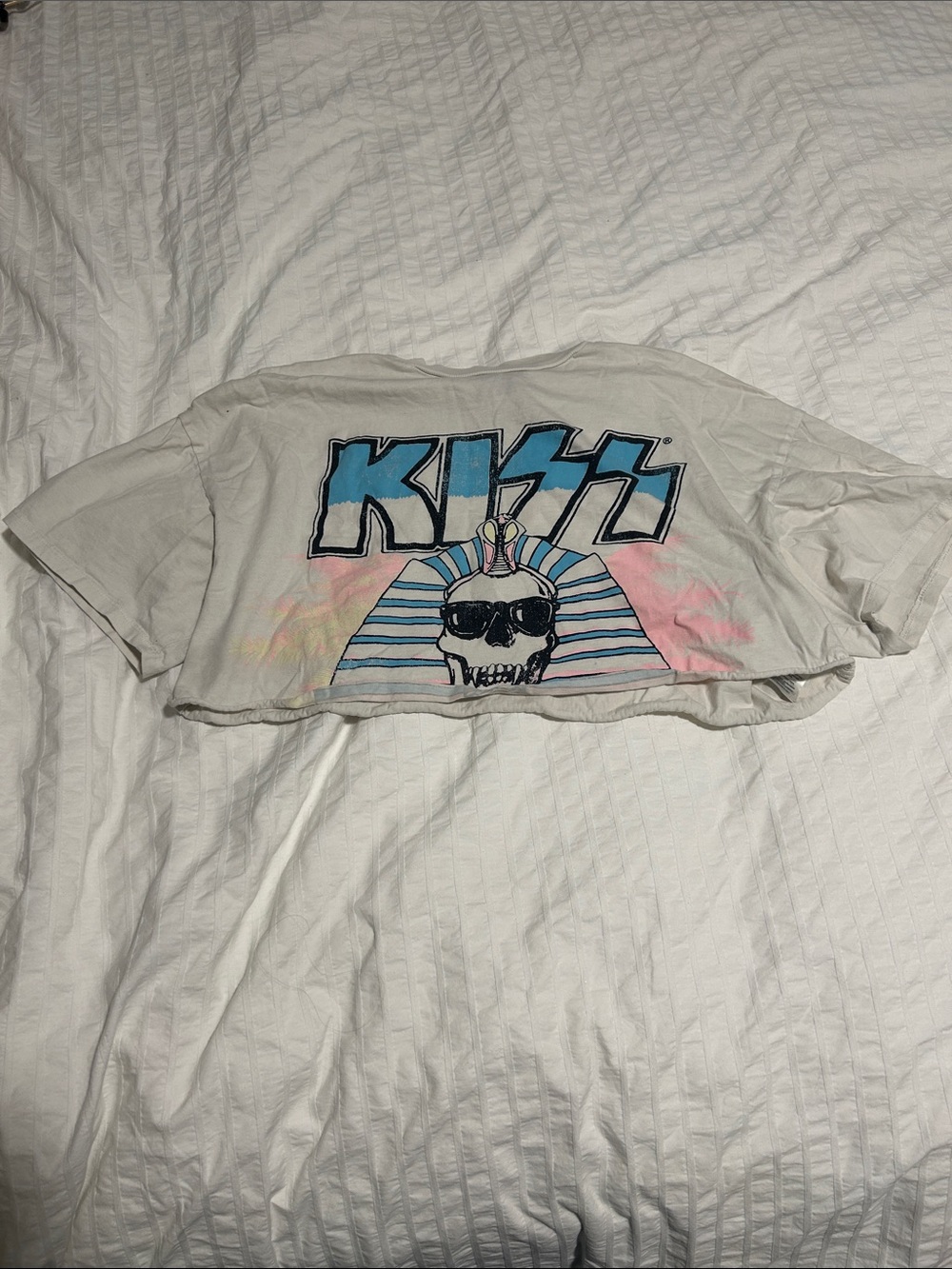 Divided Crop Tee in Light Gray with Blue and Pink Kiss Graphic